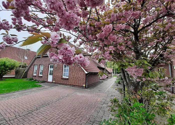 Ebbe