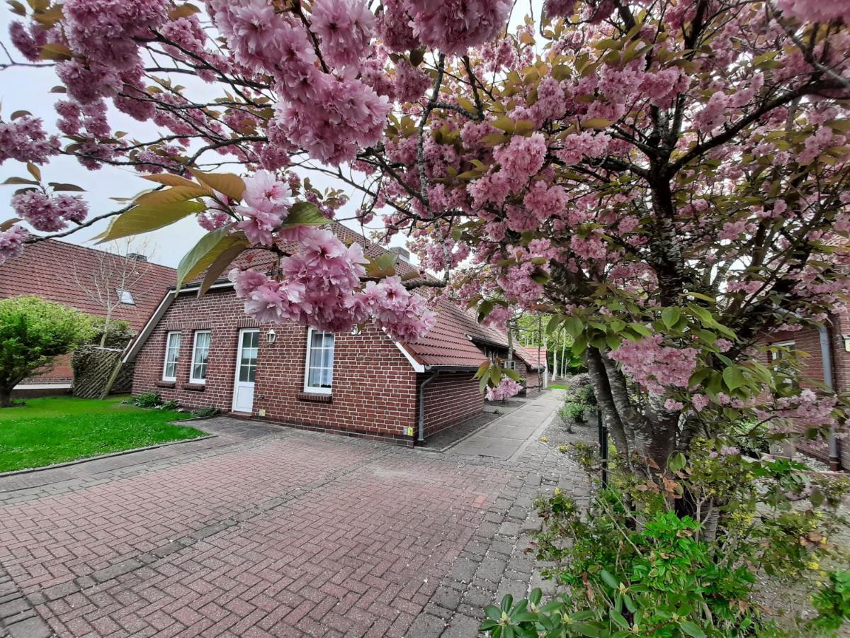 Ebbe Norden